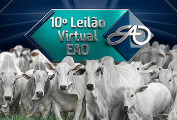 10º LEILÃO VIRTUAL EAO - TOUROS, MATRIZES E BEZERRAS